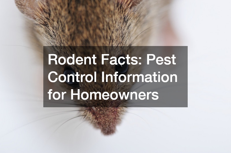 Rodent Facts  Pest Control Information for Homeowners